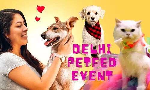 Delhi Petfed Event