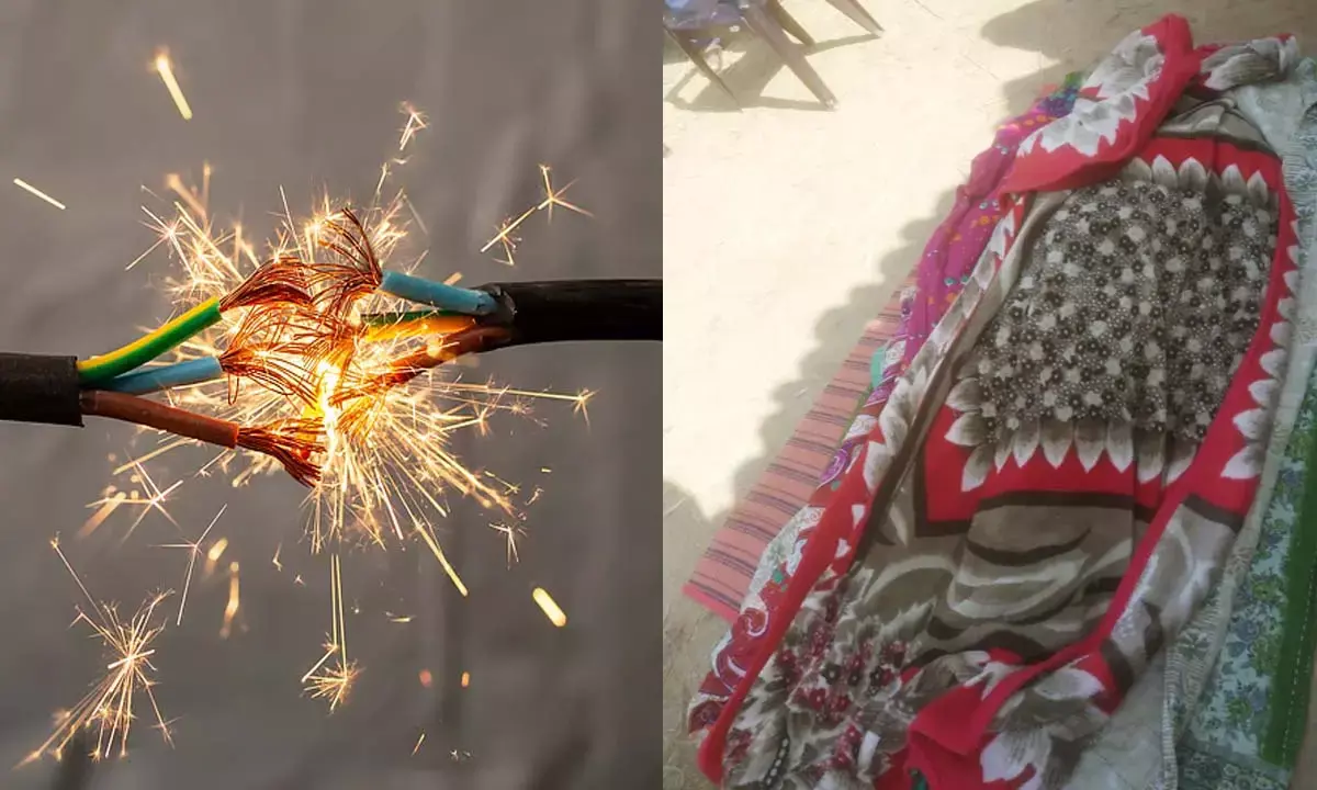 Surguja Batauli Surguja Batauli