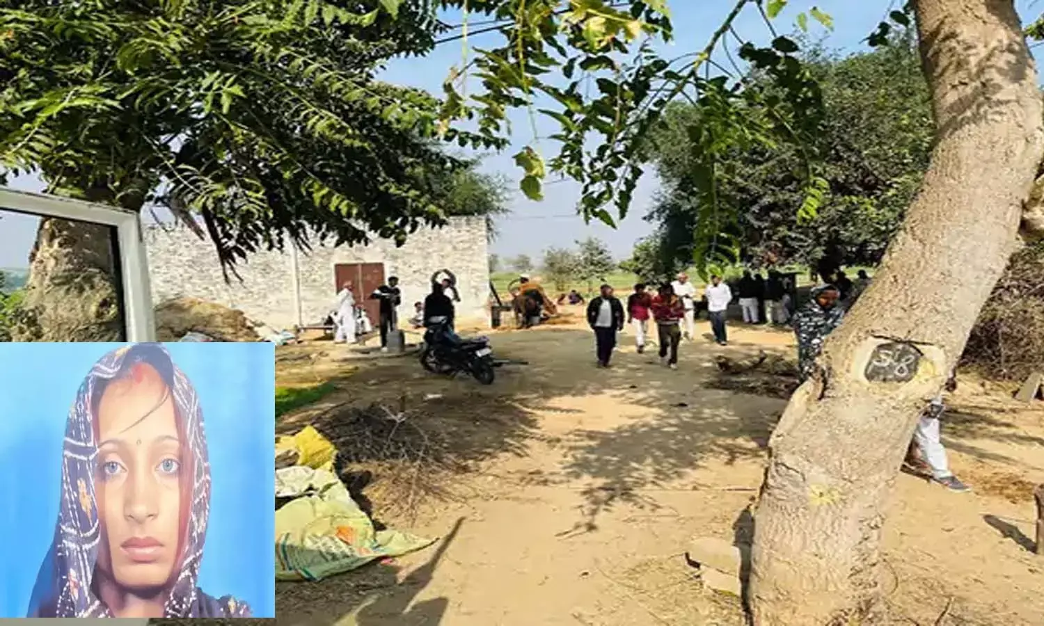 Wife Murder Wife Murder