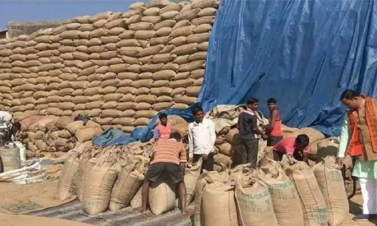 बस्तर में धान खरीदी में आई तेजी : खरीदी केंद्रों में लगा किसानों का मेला, कांकेर ने तोड़ा रिकार्ड, दंतेवाड़ा में सुस्त रफ्तार