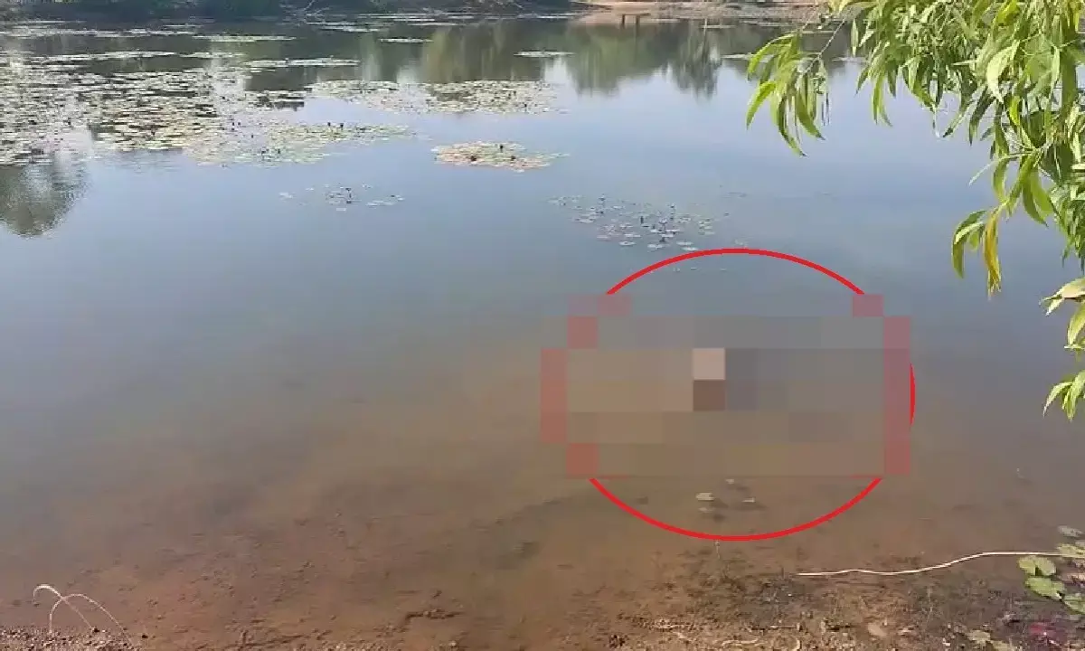 लापता युवक की मिली लाश : अज्ञात आरोपियों ने शव पर पत्थर बांधकर तालाब में फेंका, जांच में जुटी पुलिस लापता युवक की मिली लाश : अज्ञात आरोपियों ने शव पर पत्थर बांधकर तालाब में फेंका, जांच में जुटी पुलिस