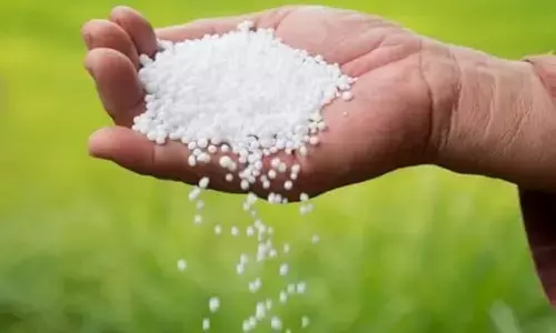 Fertilizer Home Delivery in mp: सरकार ने पहली बार खाद की होम डिलीवरी सुविधा शुरू की है।