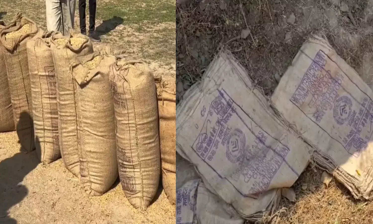 सहकारी समिति अध्यक्ष के घर से अवैध धान और बारदाना जब्त