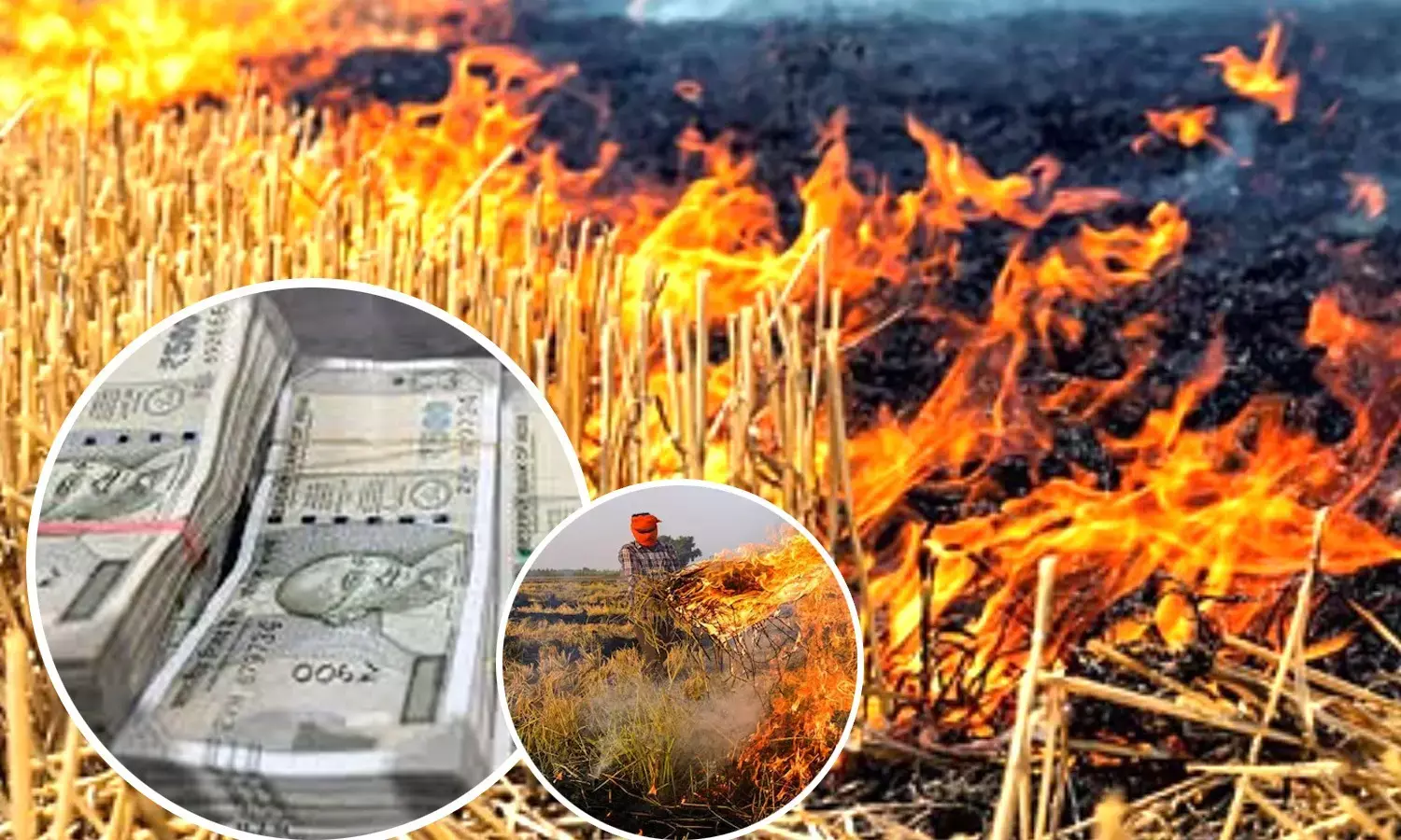 Stubble Burning Cases Stubble Burning Cases