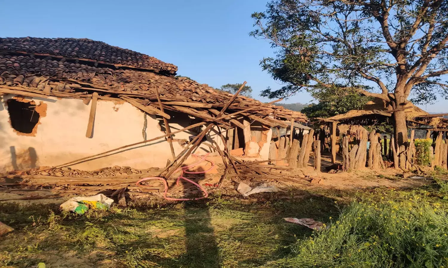 हाथियों ने तीन घरों को किया तहस- नहस हाथियों ने तीन घरों को किया तहस- नहस