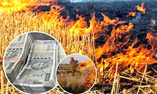 Stubble Burning Cases