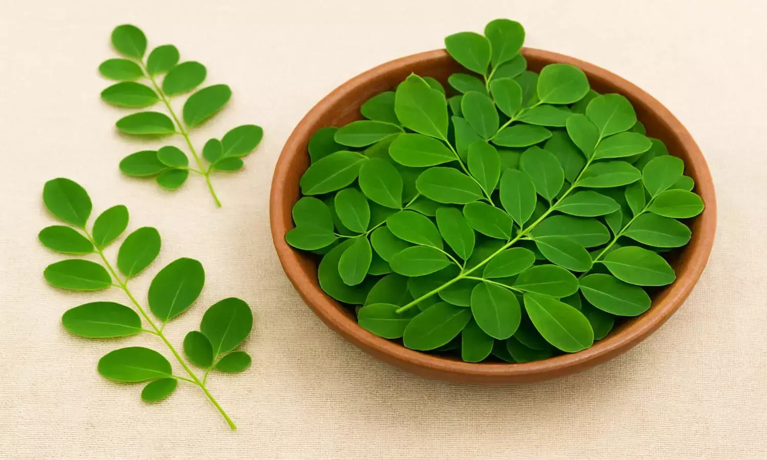 moringa leaves health benefits moringa leaves health benefits