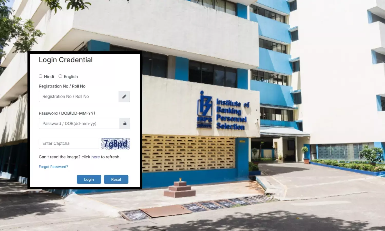 IBPS PO Interview Admit Card 2025 OUT IBPS PO Interview Admit Card 2025 OUT