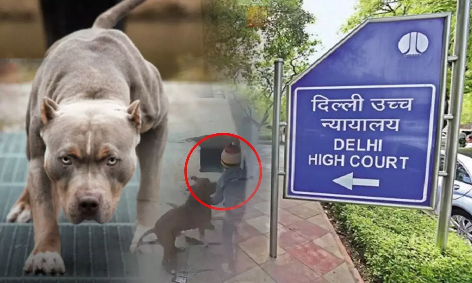 Delhi News Hindi Delhi News Hindi