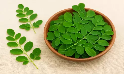 moringa leaves health benefits