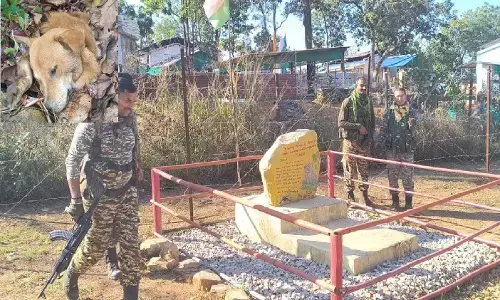 स्नाइपर डॉग राजू को याद कर रहे जवान : इनकी जान बचाने दे दी अपनी कुर्बानी, ब्लास्ट में हुआ था शहीद, कैंप के सामने बनाया स्मारक