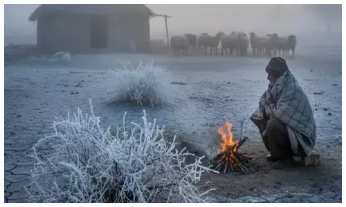 पारा 3 डिग्री तक लुढ़का, कई शहरों में शीतलहर का अलर्ट जारी पारा 3 डिग्री तक लुढ़का, कई शहरों में शीतलहर का अलर्ट जारी