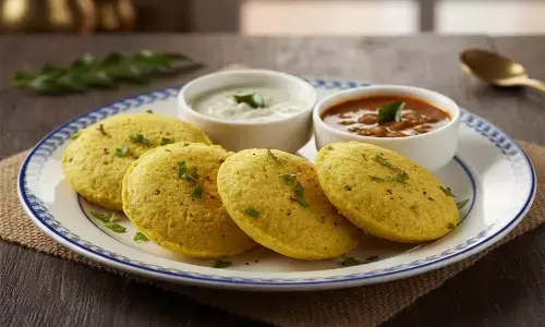 how to make besan idli recipe at home how to make besan idli recipe at home