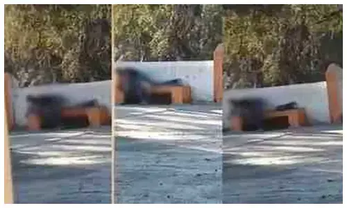 बीसभुजा माता मंदिर में कपल ने की अश्लील हरकत, वीडियो सामने आने के बाद पुलिस ने दबोचा बीसभुजा माता मंदिर में कपल ने की अश्लील हरकत, वीडियो सामने आने के बाद पुलिस ने दबोचा