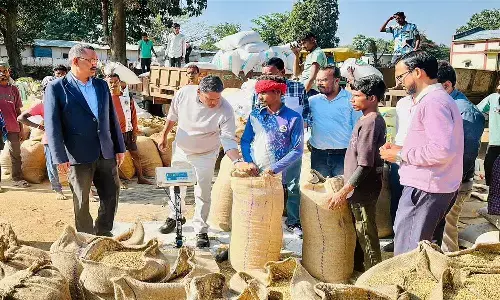 dhaan kharidi centre