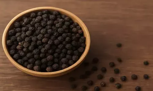 black pepper health benefits black pepper health benefits