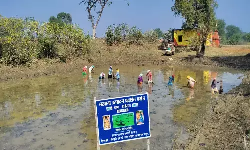 पोखरों में पौधरोपण करती हुईं स्वसहायता समूह की महिलाएं