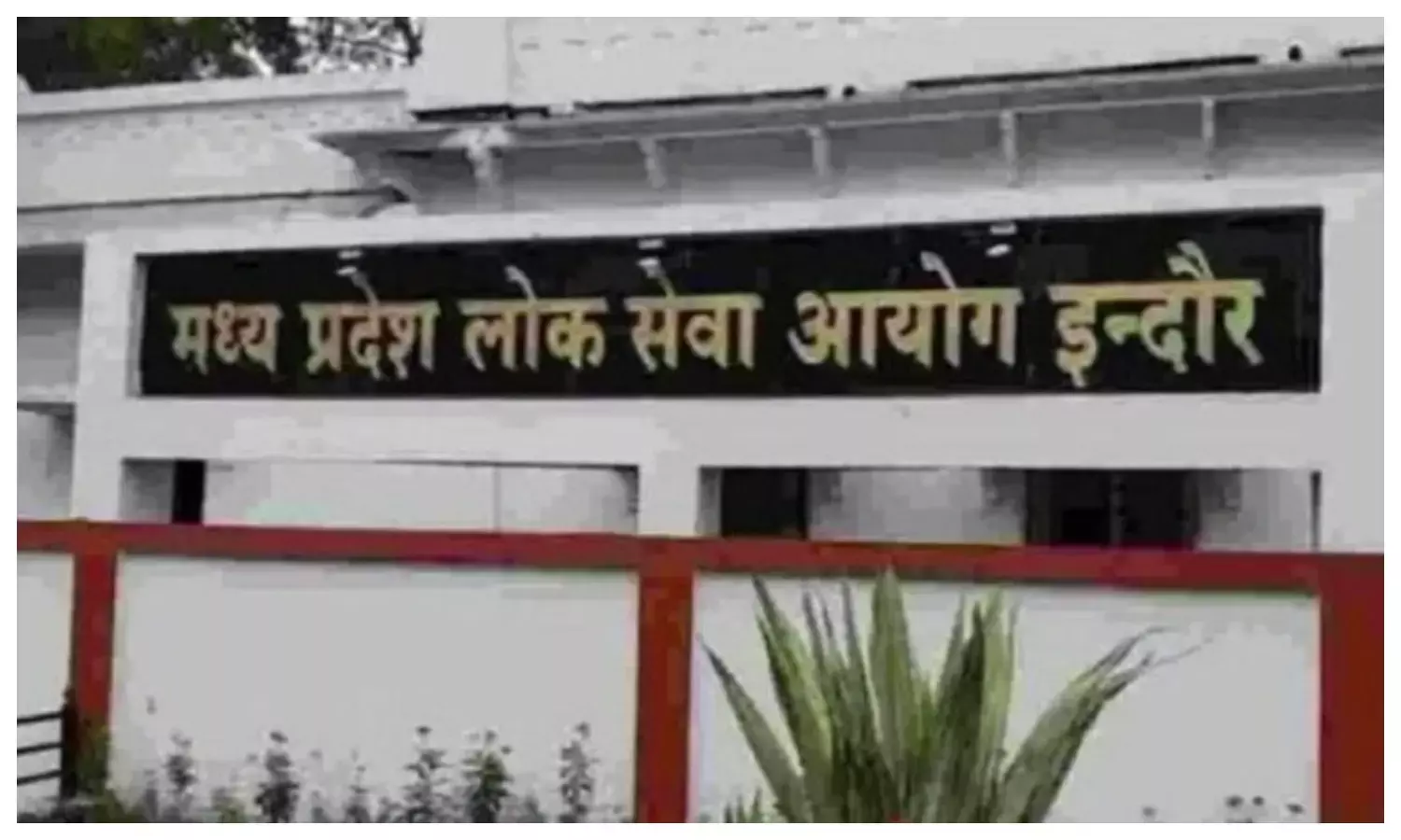 असिस्टेंट प्रोफेसर भर्ती के इंटरव्यू की तारीख घोषित, 23 दिसंबर से होगी शुरुआत असिस्टेंट प्रोफेसर भर्ती के इंटरव्यू की तारीख घोषित, 23 दिसंबर से होगी शुरुआत