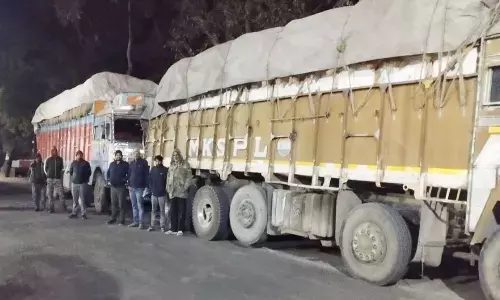 राजस्व और खाद्य विभाग की टीम अवैध धान परिवहन कर रहे दो ट्रकों को पकड़ा