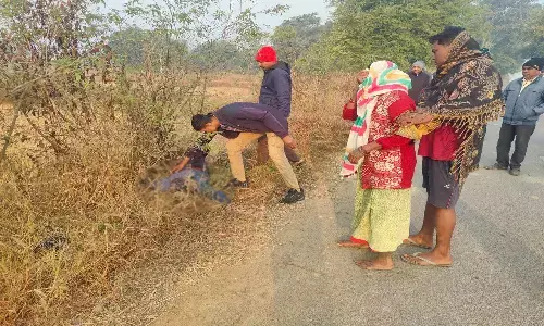 सकड़ किनारे झाड़ियों में मिला युवक का शव