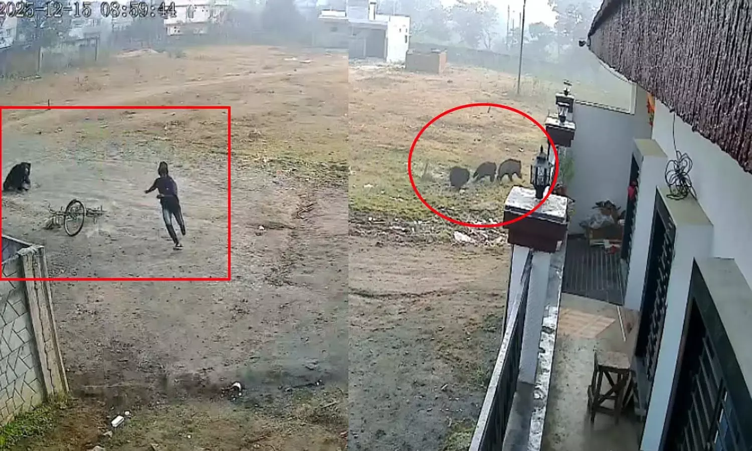 CCTV video CCTV video