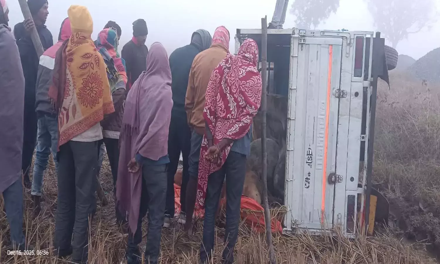 हादसे ने खोली पोल : पिकअप में भरकर ले जा रहे थे 9 गायों को, खेत में पलटी तो हो गई 4 गायों की मौत हादसे ने खोली पोल : पिकअप में भरकर ले जा रहे थे 9 गायों को, खेत में पलटी तो हो गई 4 गायों की मौत