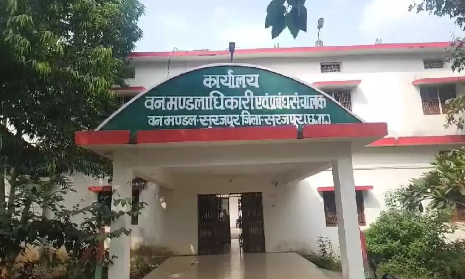 सूरजपुर जिले में बाघ का शिकार : शरीर से नाख़ून और दांत निकाल ले गए शिकारी, कुछ भी कहने से बच रहा वन विभाग सूरजपुर जिले में बाघ का शिकार : शरीर से नाख़ून और दांत निकाल ले गए शिकारी, कुछ भी कहने से बच रहा वन विभाग