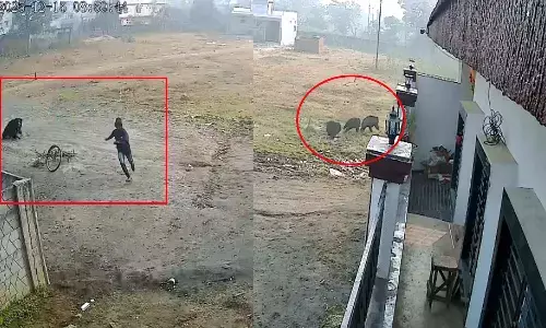 CCTV video