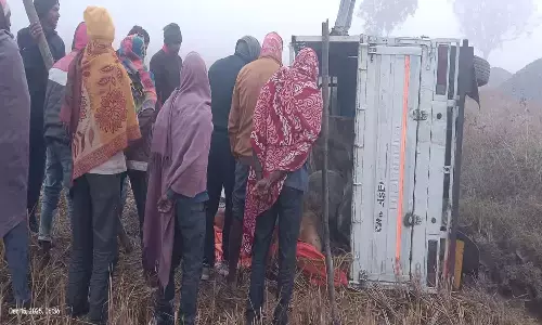 हादसे ने खोली पोल : पिकअप में भरकर ले जा रहे थे 9 गायों को, खेत में पलटी तो हो गई 4 गायों की मौत हादसे ने खोली पोल : पिकअप में भरकर ले जा रहे थे 9 गायों को, खेत में पलटी तो हो गई 4 गायों की मौत