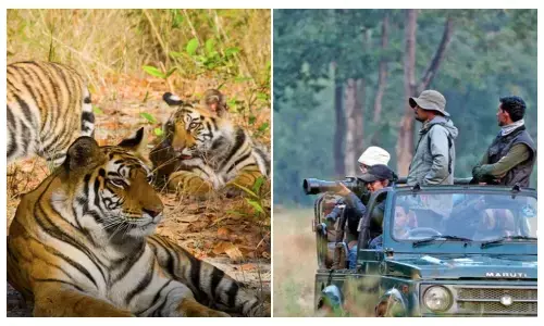 कोर एरिया में मोबाइल पूरी तरह बैन, बफर जोन में नाइट सफारी भी बंद