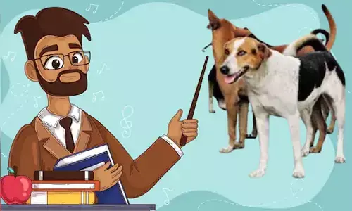 कुत्तों की निगरानी करेंगे प्रोफेसर : उच्च शिक्षा ने कहा-न रखें ऐसी खाद्य सामग्री जिससे आकर्षित हो आवारा