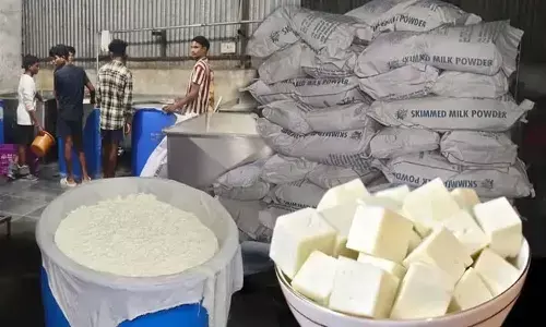 संभलकर खाइए पनीर-मिठाइयां : साढ़े पांच हजार किलो नकली पनीर जब्त, कलाकंद- बर्फी का भी भरोसा नहीं संभलकर खाइए पनीर-मिठाइयां : साढ़े पांच हजार किलो नकली पनीर जब्त, कलाकंद- बर्फी का भी भरोसा नहीं