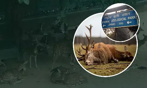 A new threat looms over Delhi Zoo