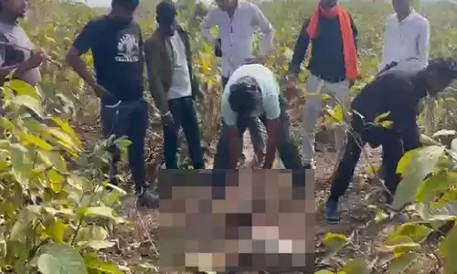 दरचुरा जंगल बांधा के पास मिला तीन गायों का सर : गौ सेवकों में भारी आक्रोश, आरोपियों के खिलाफ कठोर कार्रवाई की मांग