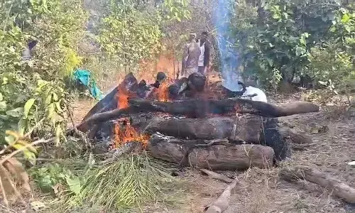 बाघ की मौत पर बड़ा खुलासा : शिकारियों ने करंट लगाकर बाघ को मारा, संदेहियों की तलाश तेज