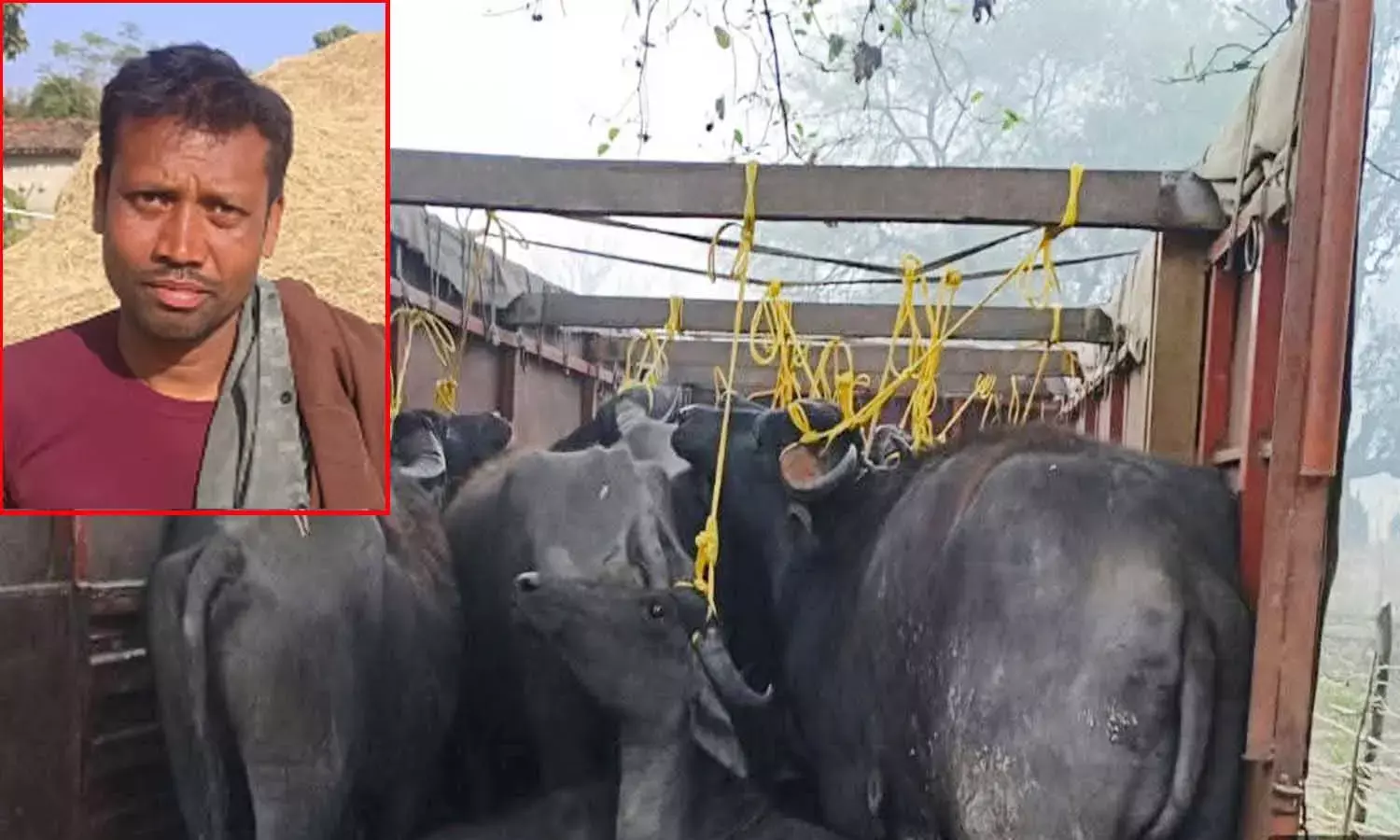 पेंड्रा में पुलिस की बड़ी कार्रवाई