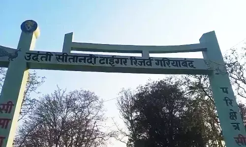 खेलते-खेलते जंगल पहुंचा मासूम