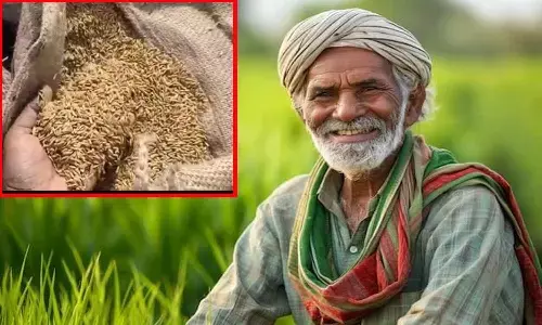 धान खरीदी के इंतजामों में मुंगेली जिला अव्वल