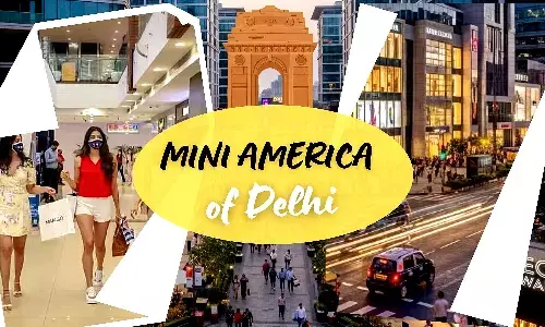 Delhi Mini America