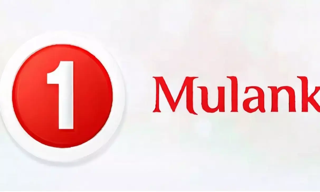 Numerology Number 1 Horoscope 2026