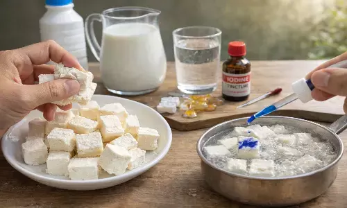 paneer purity test at home