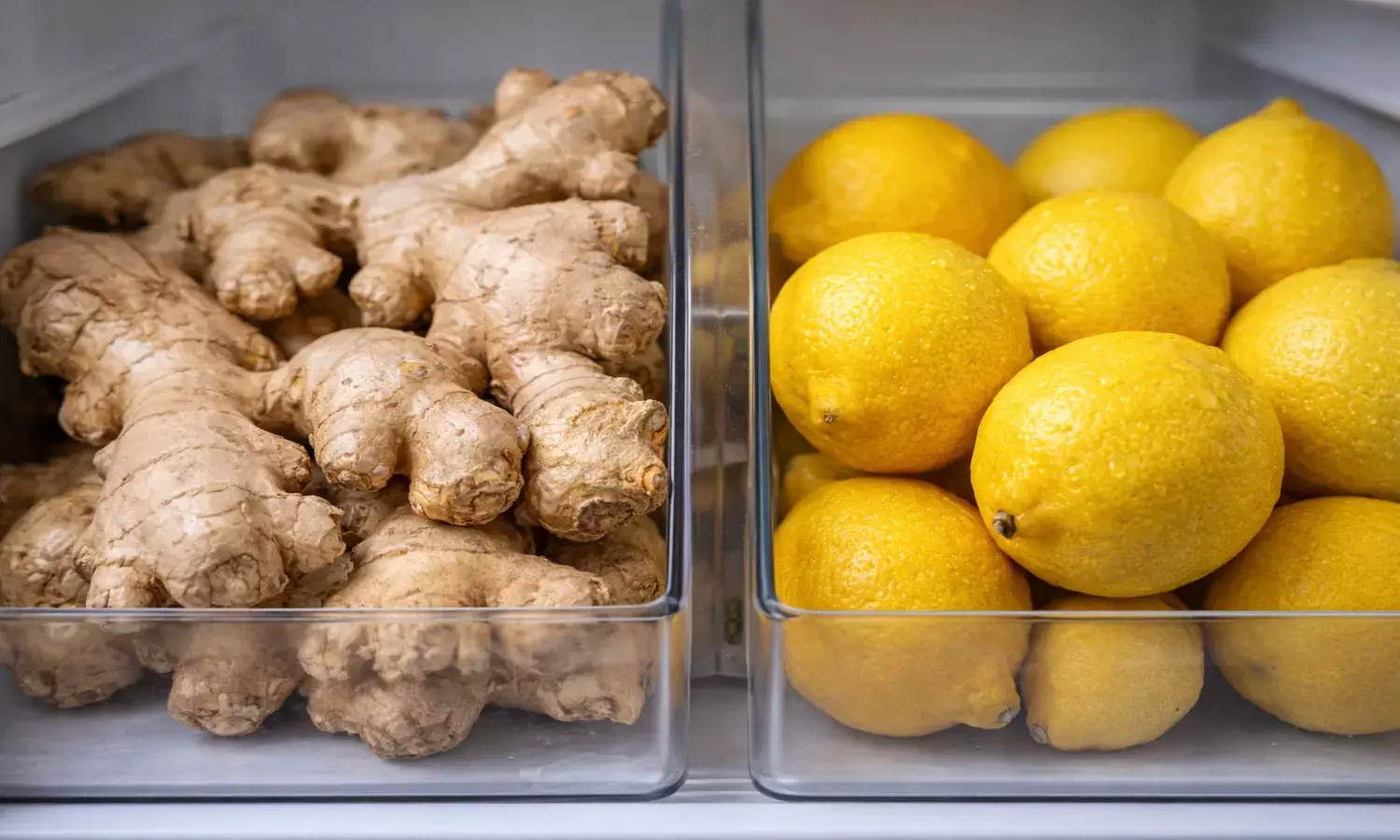 ginger and lemon storage tips ginger and lemon storage tips