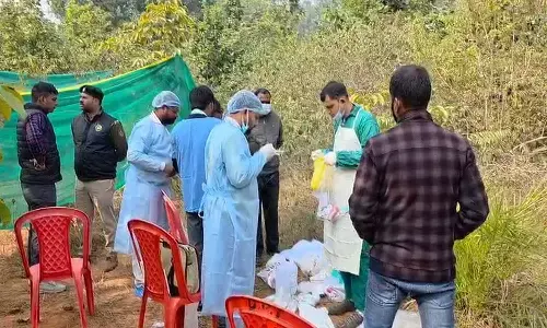 बाघ शिकार मामले में वन विभाग सख्त