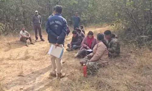 तालाब के पास मिला हाथी के शावक का शव