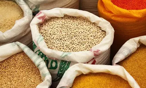 किसानों के लिए खुशखबरी : केंद्र सरकार ने दलहन- तिलहन खरीदी की अनुमति दी, 425 करोड़ मंजूर