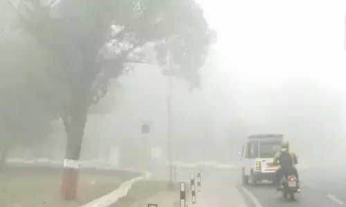 Weather Update Today: Snowfall in Hills, Cold Wave & Dense Fog Grip North India