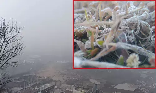 कड़ाके की ठंड से मैनपाट में जमी बर्फ