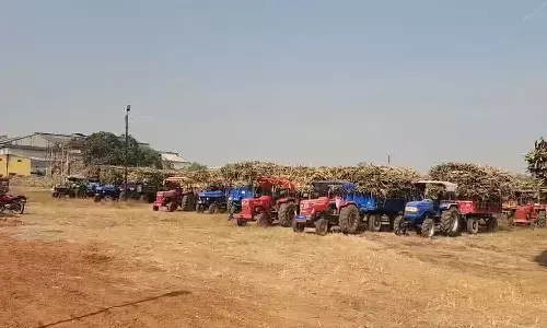 बालोद में लगा लंबा जाम : गन्ने की गाड़ियां खाली ना होने की वजह से आवागमन बाधित, किसानों ने दी उग्र आंदोलन की चेतावनी