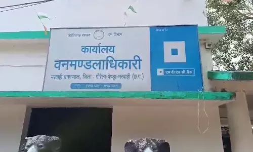 राइस मिल में घुसा भालू : शहद खाने की लालच के चलते 30 फीट उपर फंसा, निकालने में जुटा वन विभाग