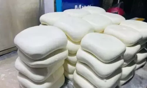एनालॉग पनीर का अजीब खेल : दूध पाउडर से बनने वाले इस पनीर के लिए सरकार लाइसेंस भी दे रही और छापे भी मारे जा रहे